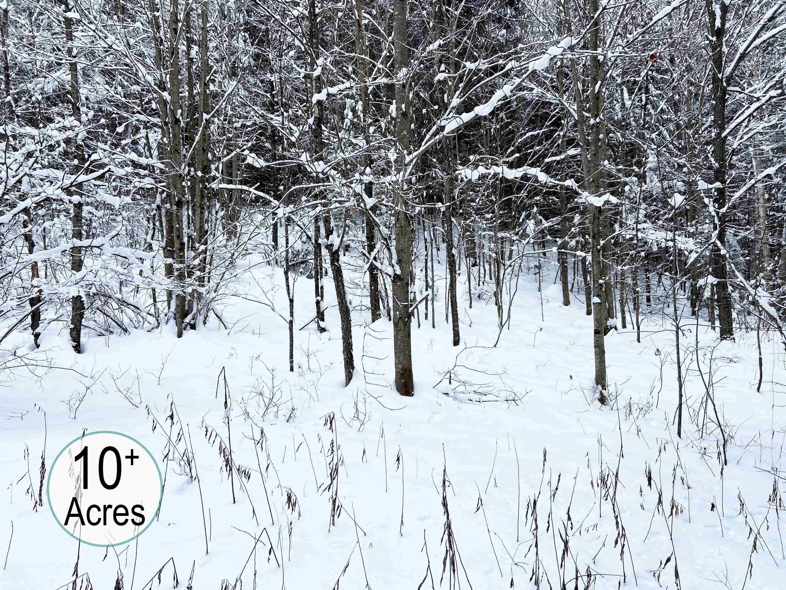 Wheelock, Caledonia County, VT Undeveloped Land, Lakefront Property