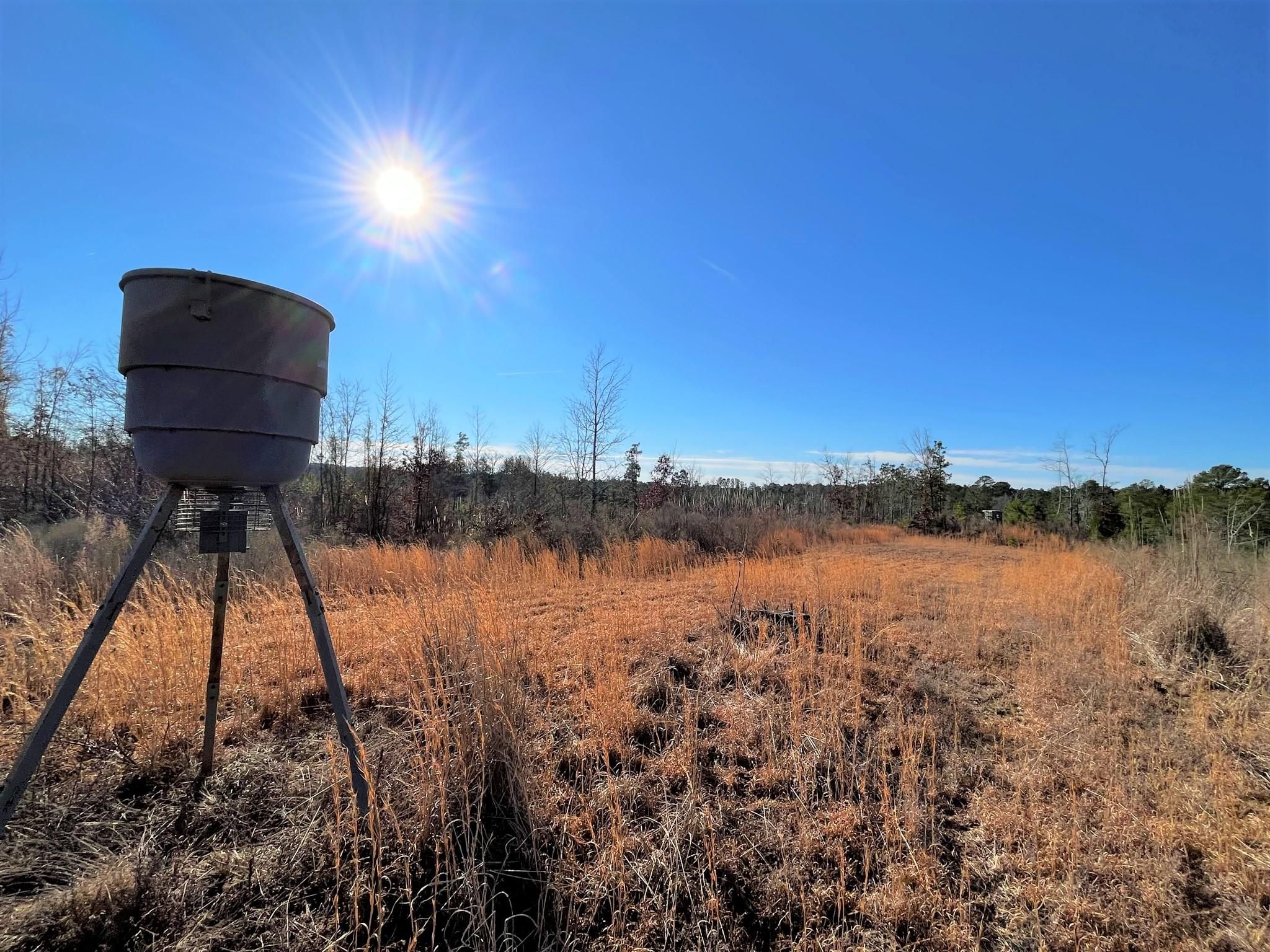 Sallis, Attala County, MS Recreational Property, Timberland Property