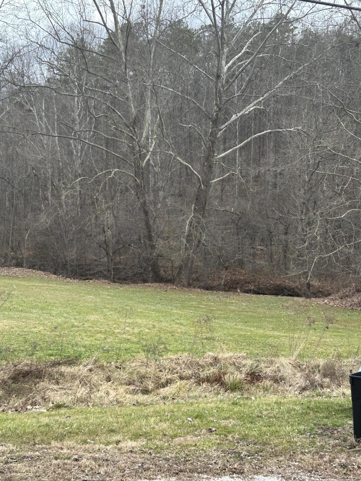 Manchester, Clay County, KY Farms and Ranches for sale Property ID