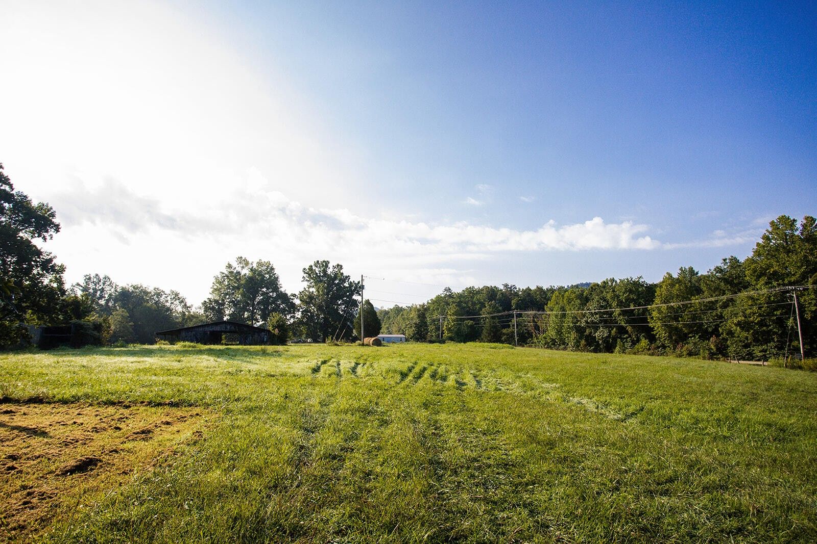 Jeffersonville, Montgomery County, KY Farms and Ranches for sale