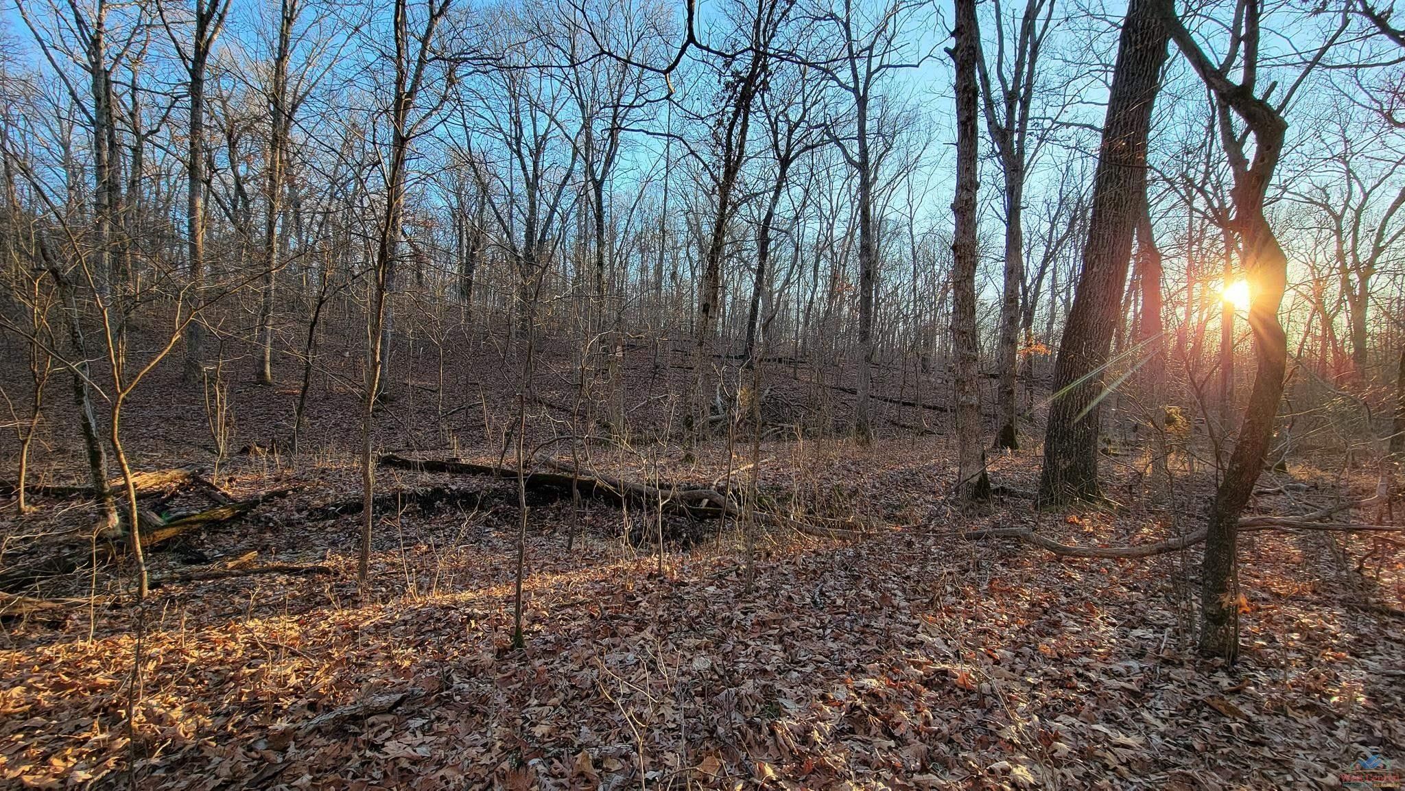 Lincoln, Benton County, MO Undeveloped Land for sale Property ID