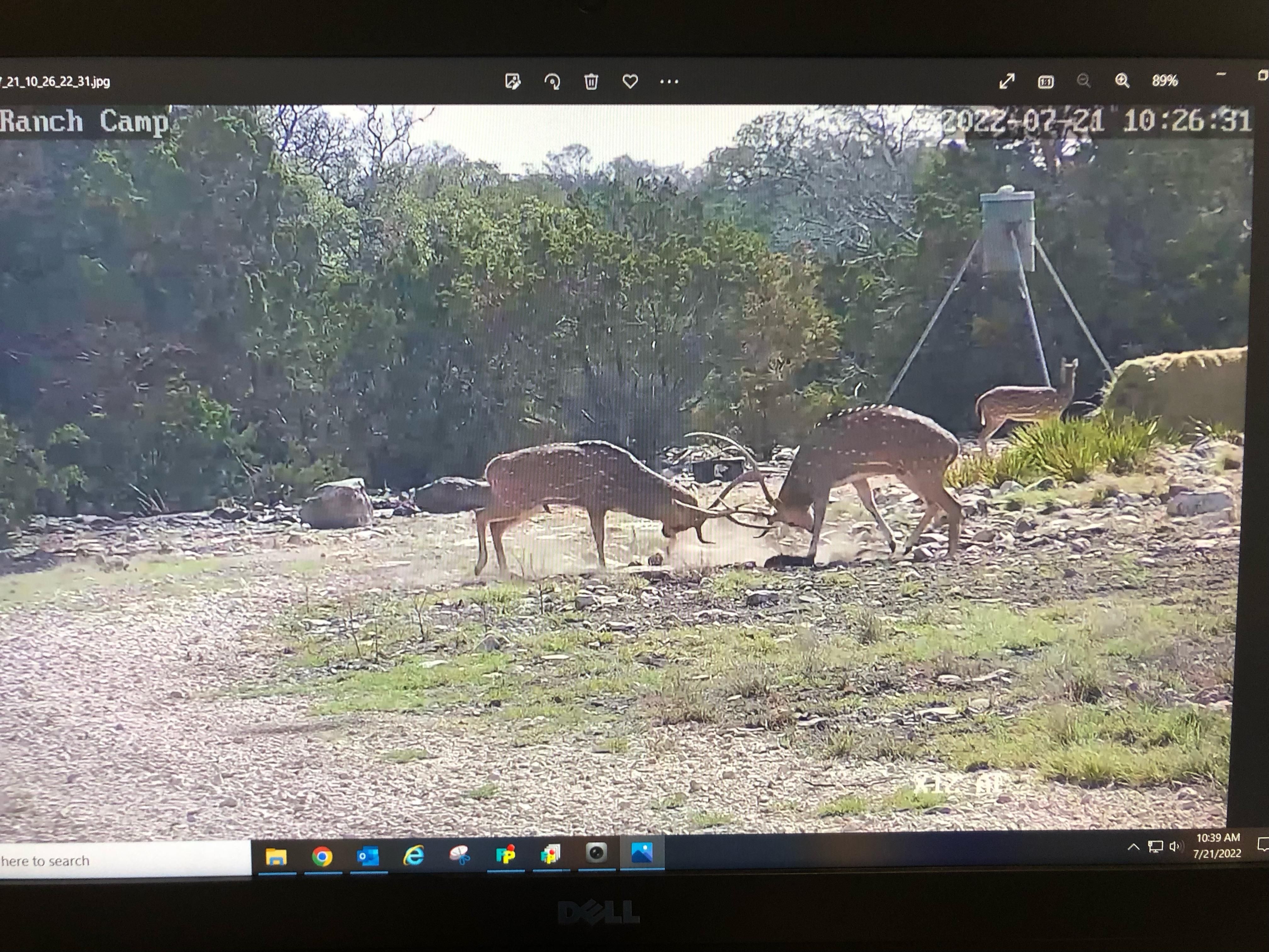 Roosevelt, Sutton County, TX Farms and Ranches, Recreational Property