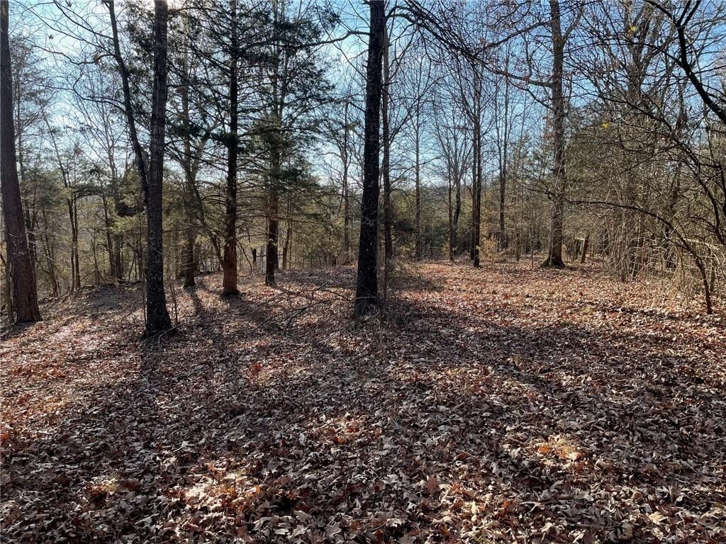 Berryville, Carroll County, AR Undeveloped Land, Lakefront Property