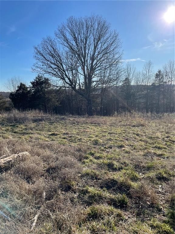 Berryville, Carroll County, AR Undeveloped Land, Lakefront Property