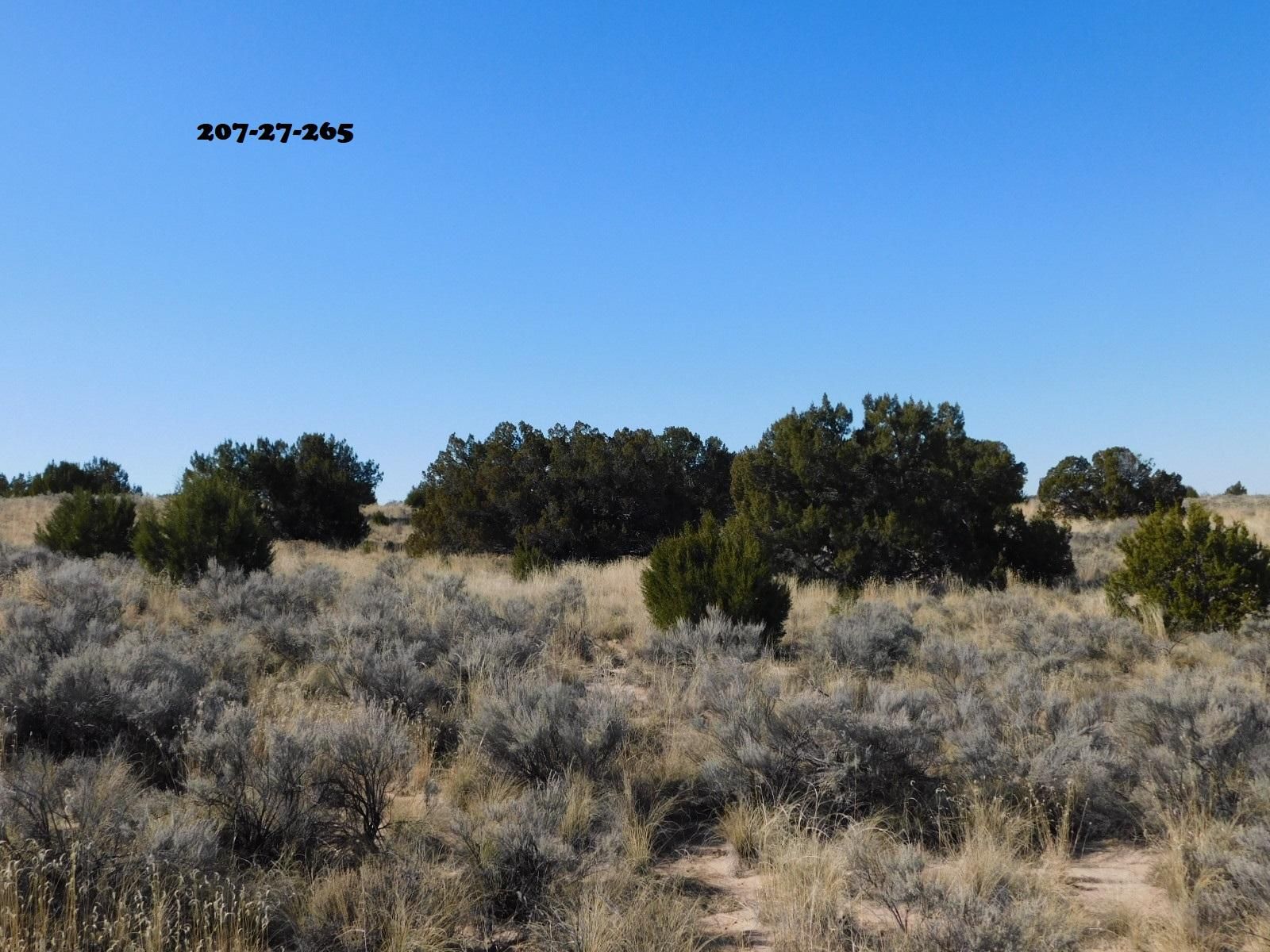 1.16 acres in Sanders, AZ, 86512 LandWatch