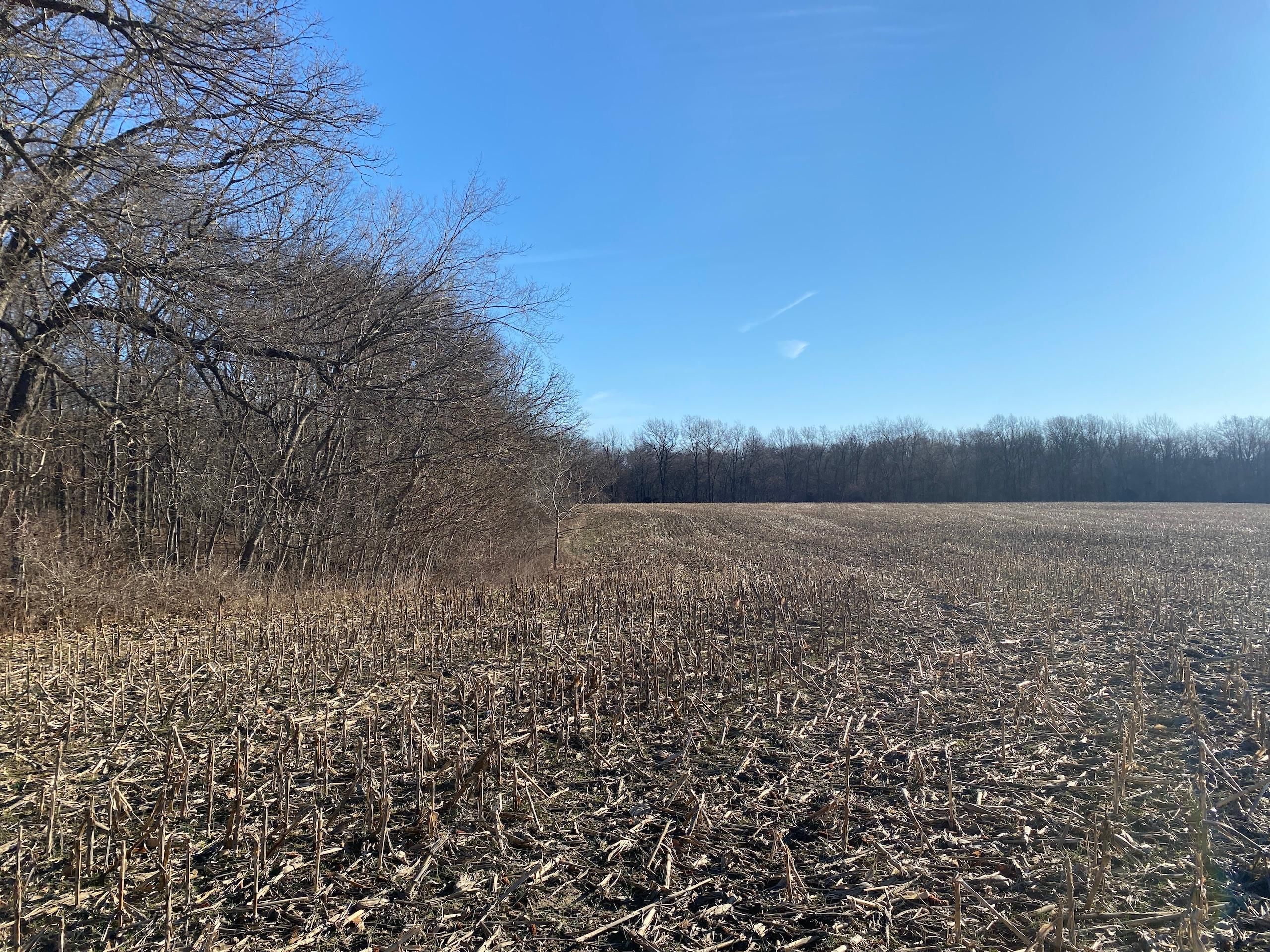 Lively Grove, Washington County, IL Farms and Ranches, Timberland