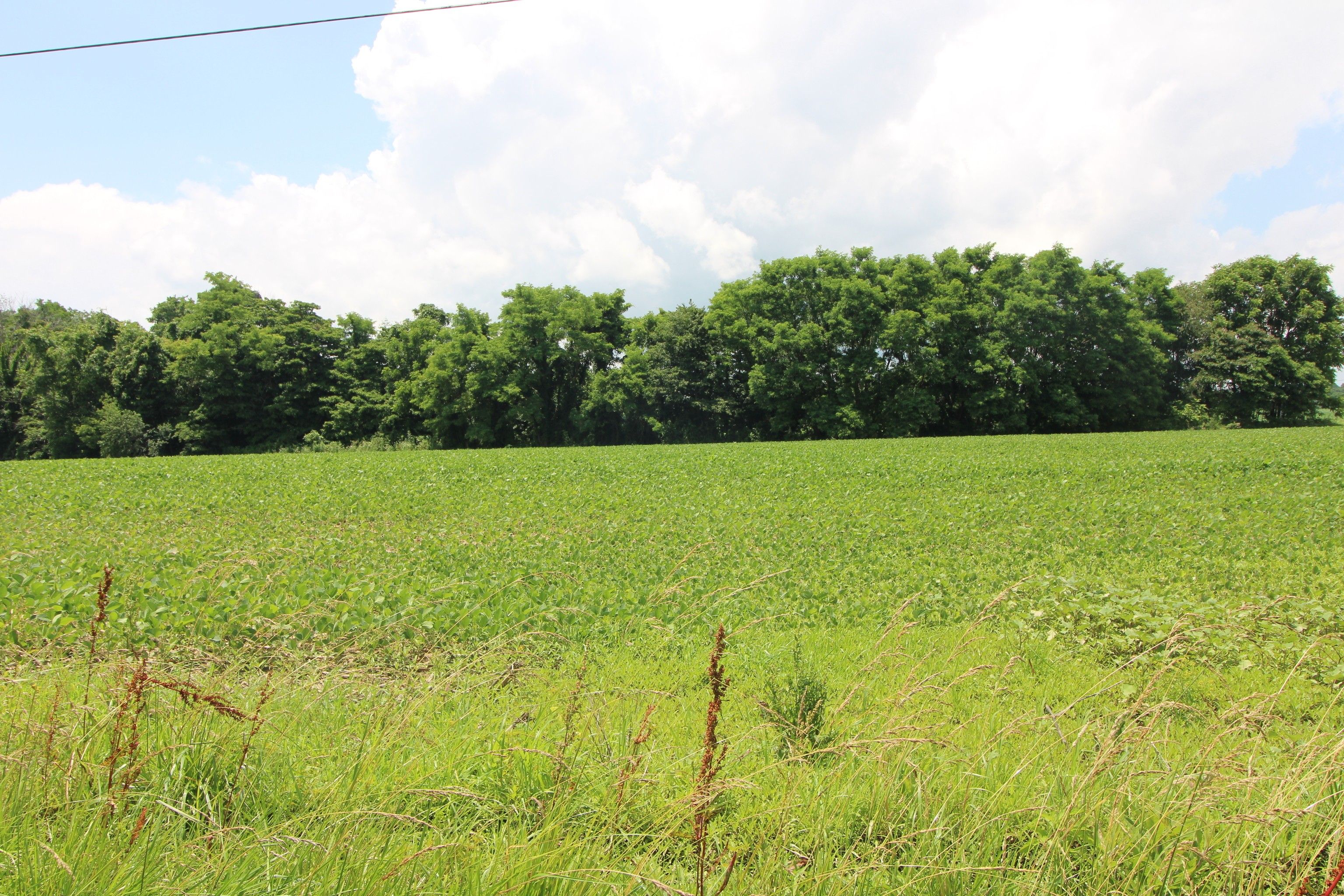0 W C R 1050 N, Stilesville, IN 46180 MLS 21903464 LandWatch