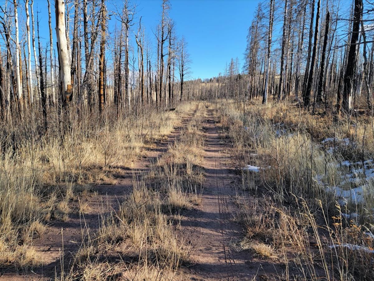 Fort Garland, Costilla County, CO Recreational Property, Hunting