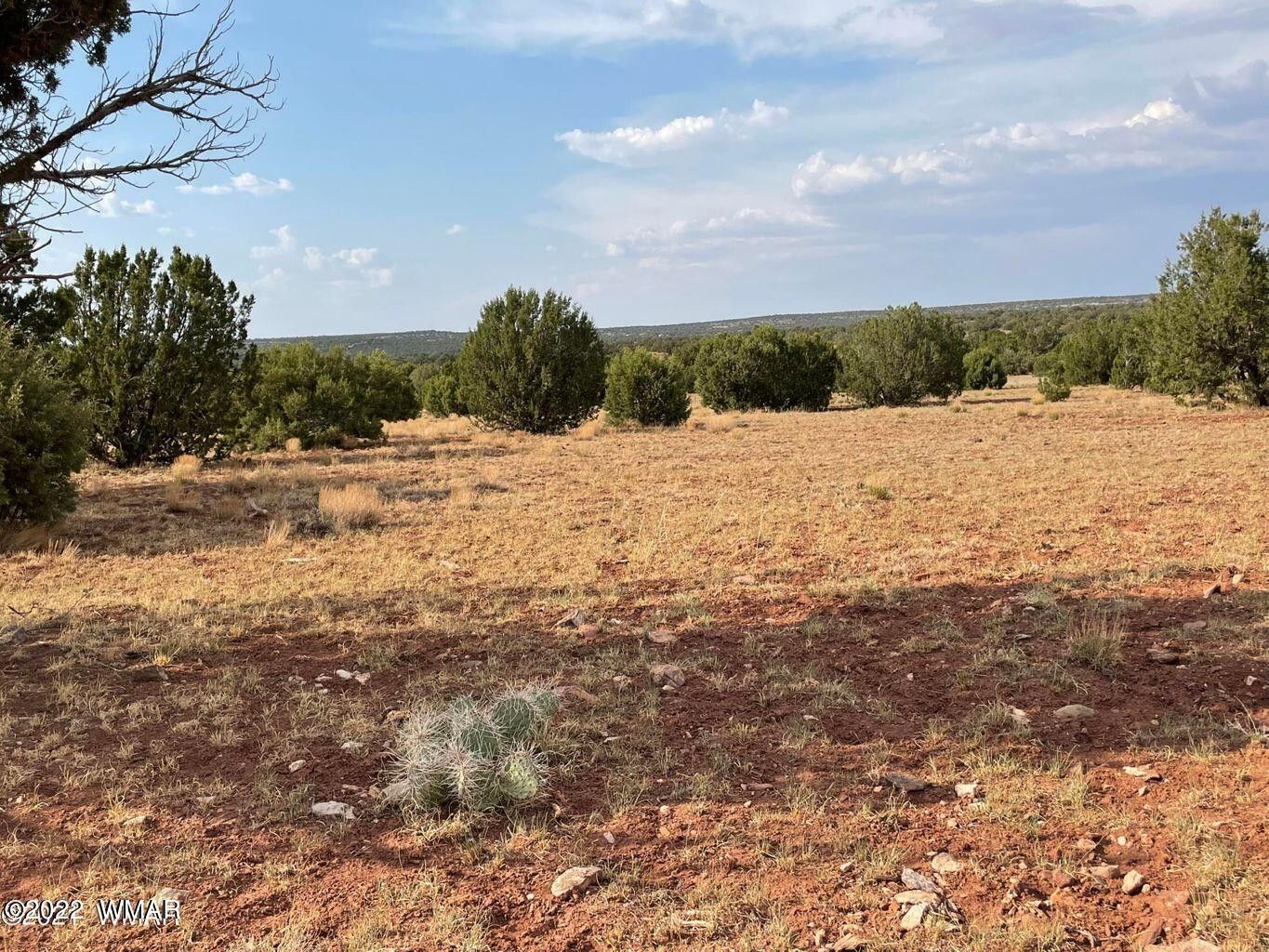 Show Low, Navajo County, AZ Undeveloped Land for sale Property ID 415706889 LandWatch