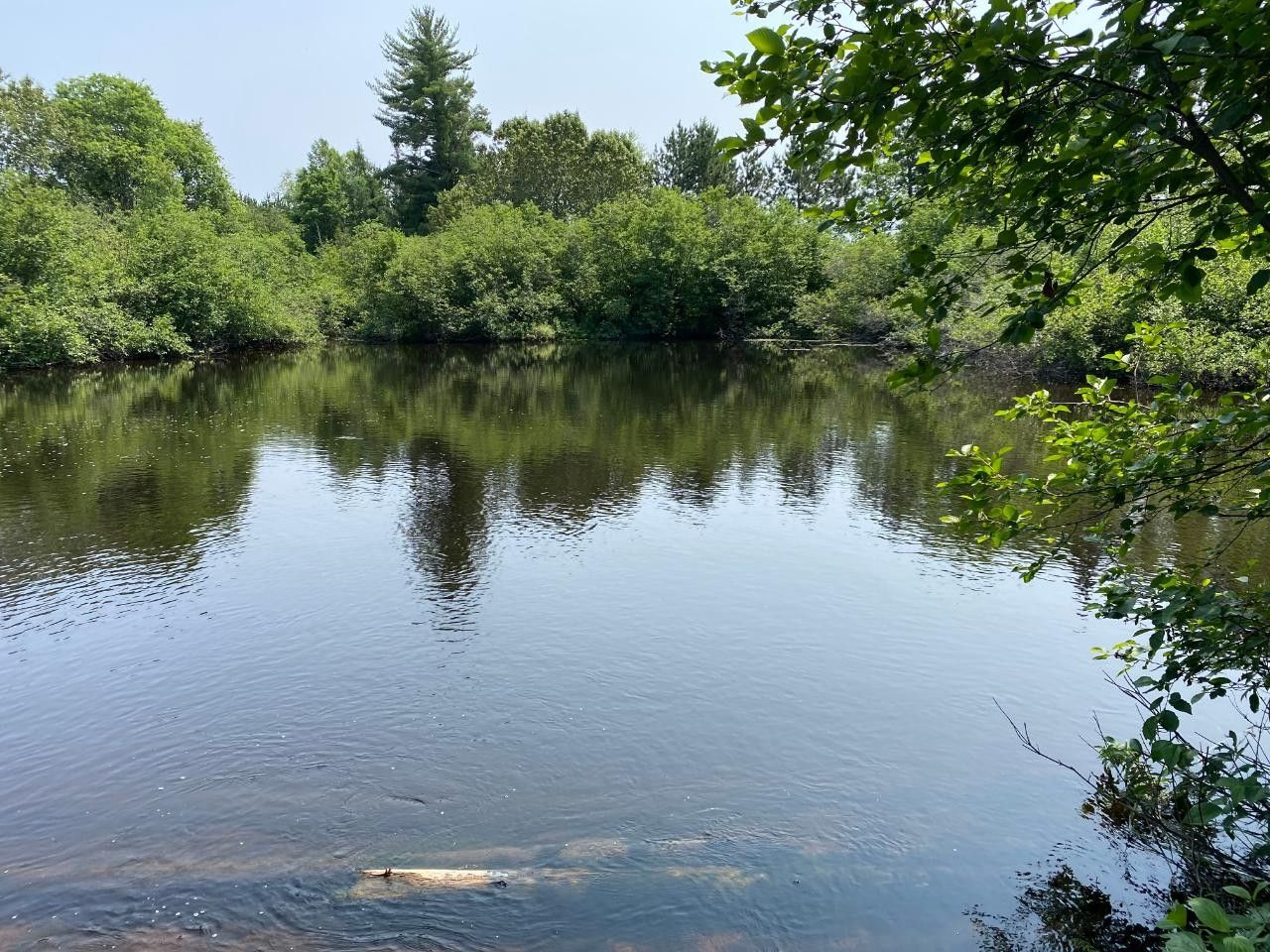 Alvin, Forest County, WI Undeveloped Land, Lakefront Property