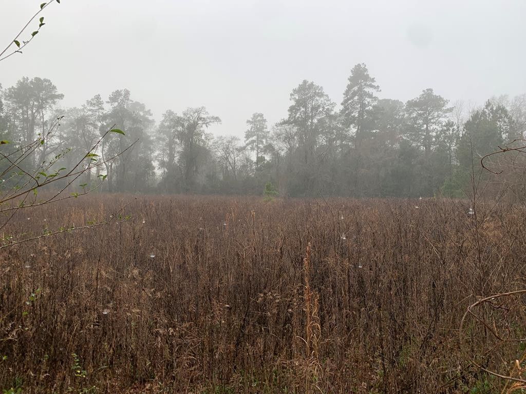 Valdosta, Lowndes County, GA for sale Property ID 415704944 LandWatch