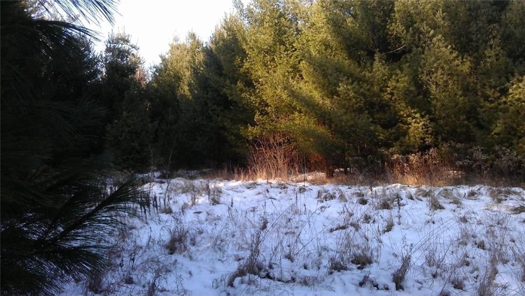 Somerset, Saint Croix County, WI Undeveloped Land, Lakefront Property