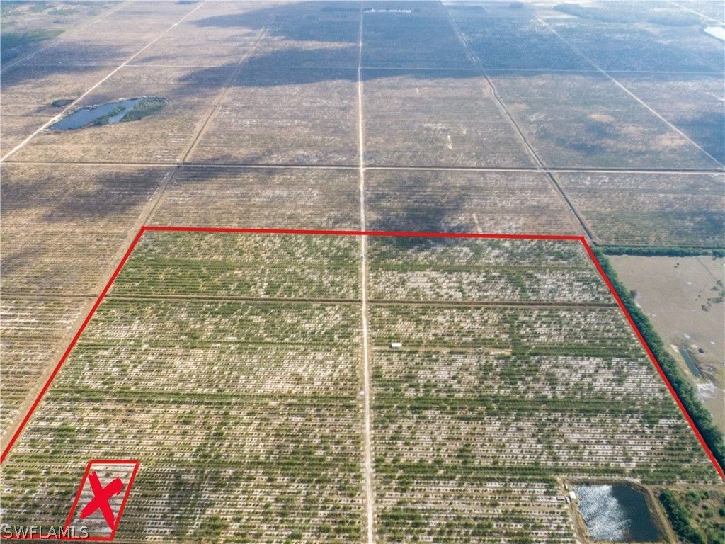 Alva, Lee County, FL Undeveloped Land for sale Property ID 415711620