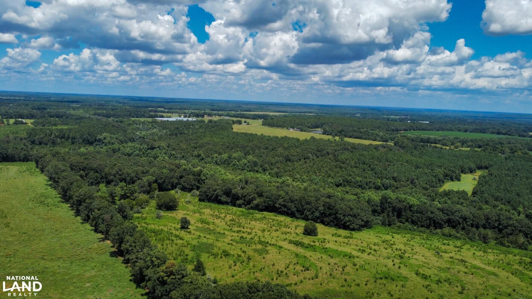 Chancellor, Geneva County, AL Farms and Ranches, Recreational Property