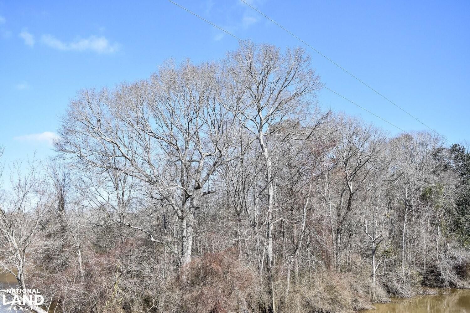 Sumrall, Covington County, MS Timberland Property, Hunting Property