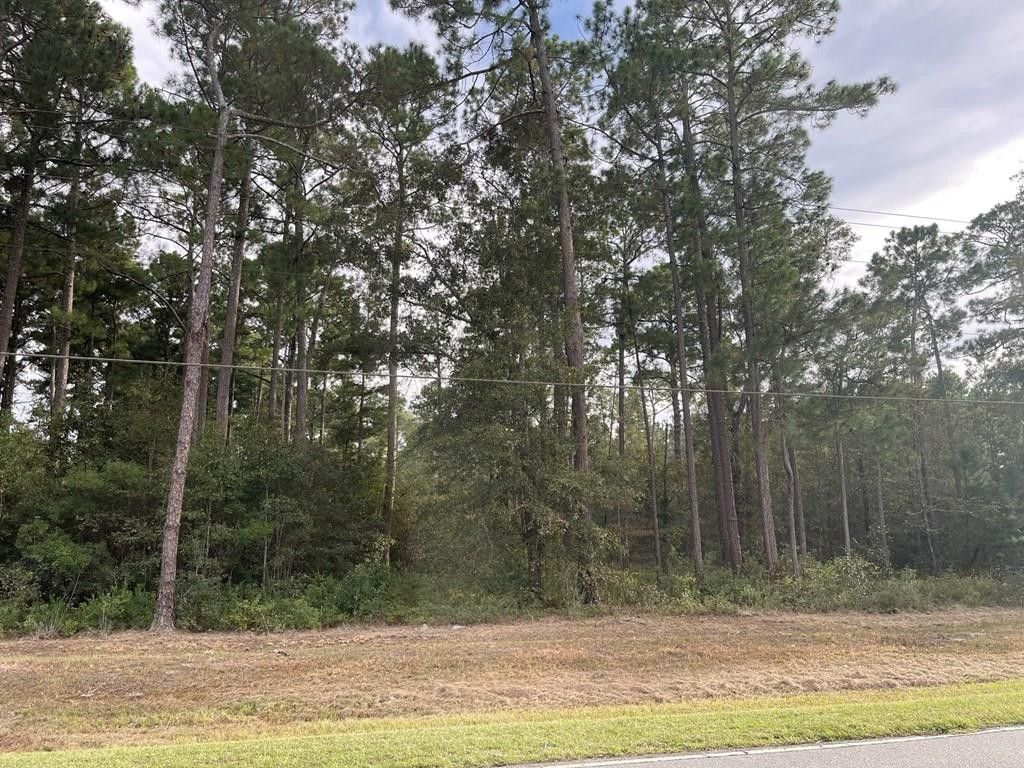 Fitzgerald, Ben Hill County, GA Undeveloped Land, Homesites for sale