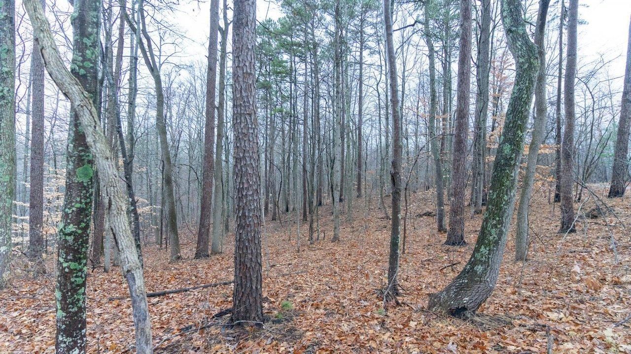 Oak Hill, Lawrence County, OH Recreational Property, Hunting Property