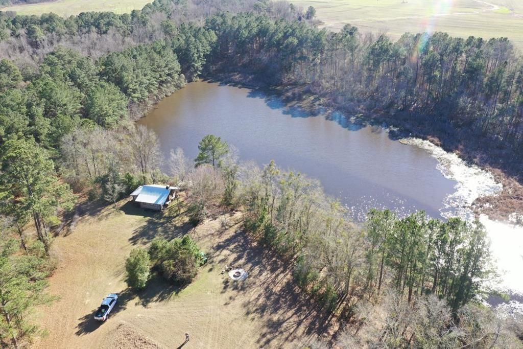 Pelham, Mitchell County, GA Recreational Property, Hunting Property