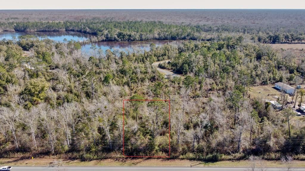 Wewahitchka, Gulf County, FL Farms and Ranches, Homesites for sale