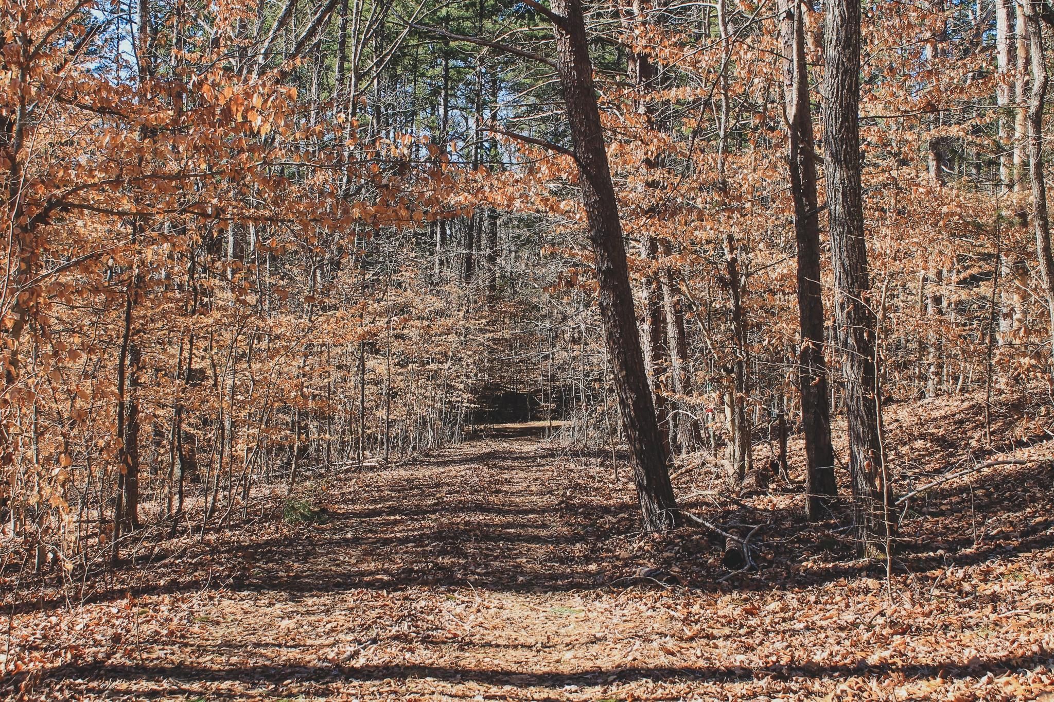 Clarksville, Mecklenburg County, VA Recreational Property, Lakefront