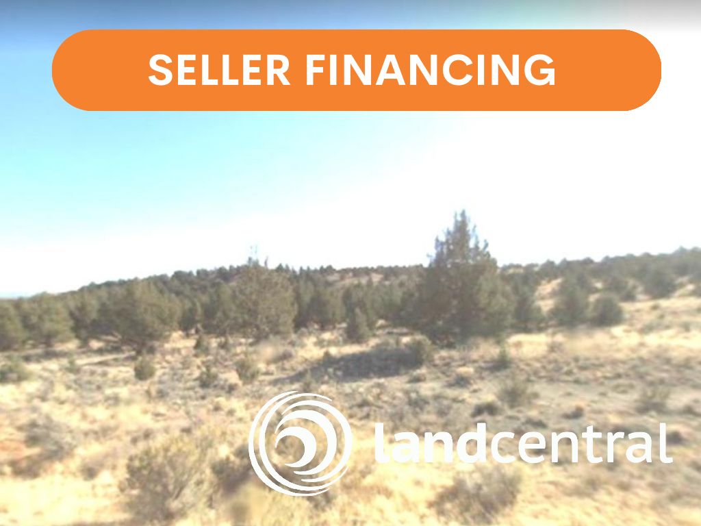 Plush, Harney County, OR Farms and Ranches, Undeveloped Land for sale