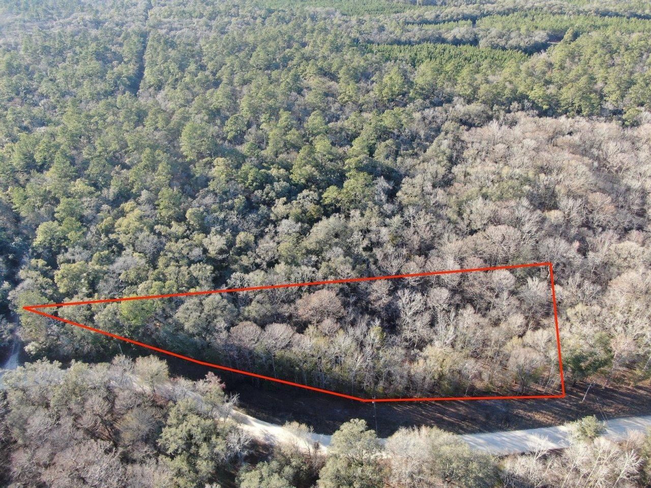 Branford, Lafayette County, FL Recreational Property, Undeveloped Land