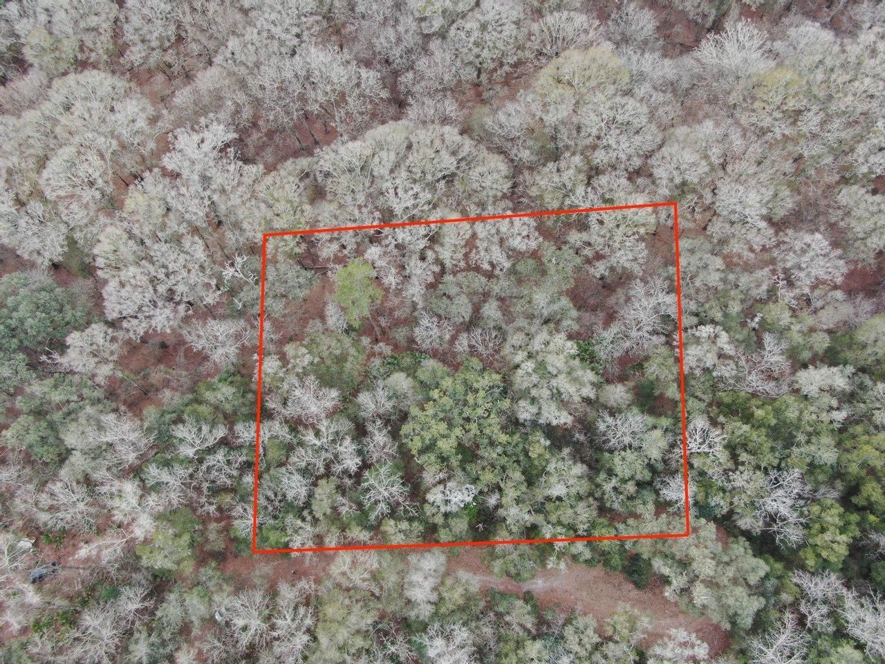 Mayo, Lafayette County, FL Recreational Property, Undeveloped Land