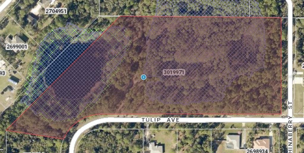 Eustis, Lake County, FL Farms and Ranches, Lakefront Property