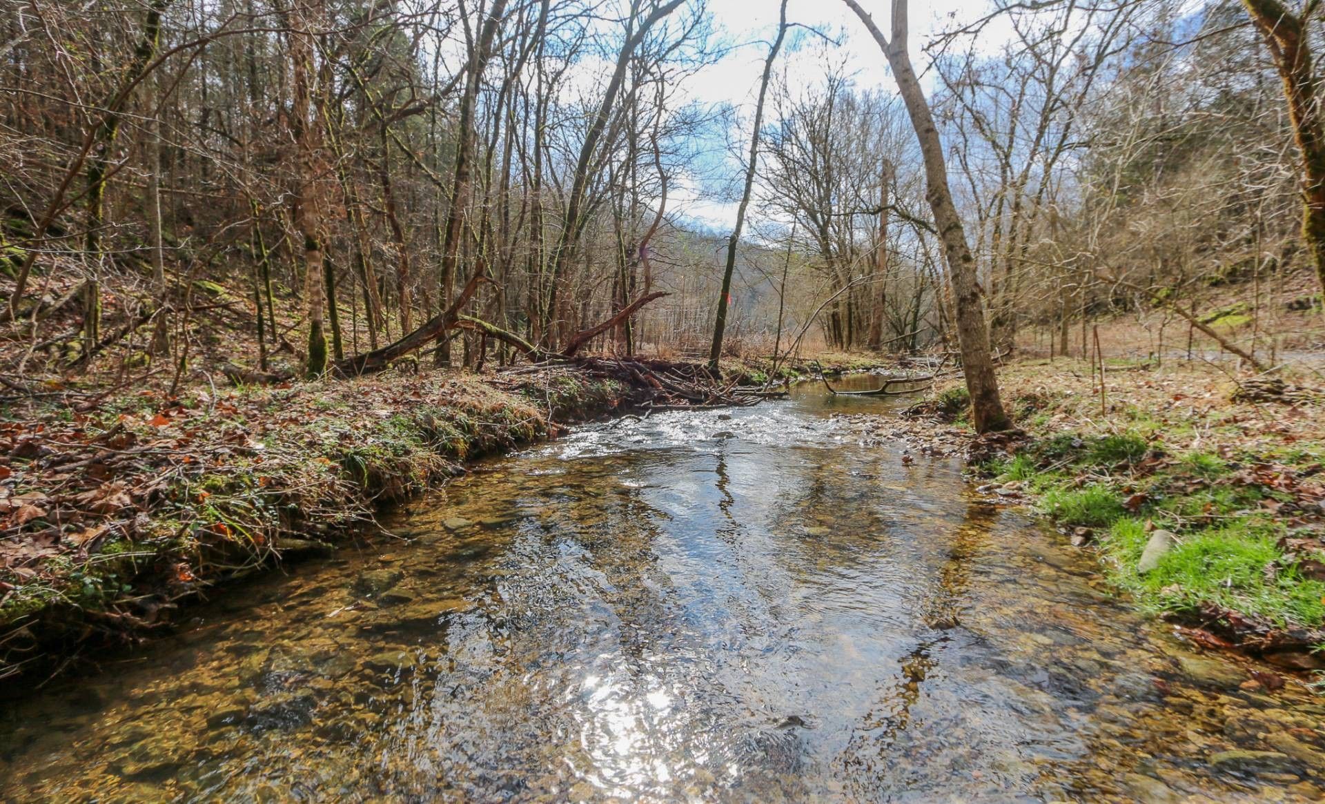 Bloomington Springs, Jackson County, TN Undeveloped Land, Lakefront
