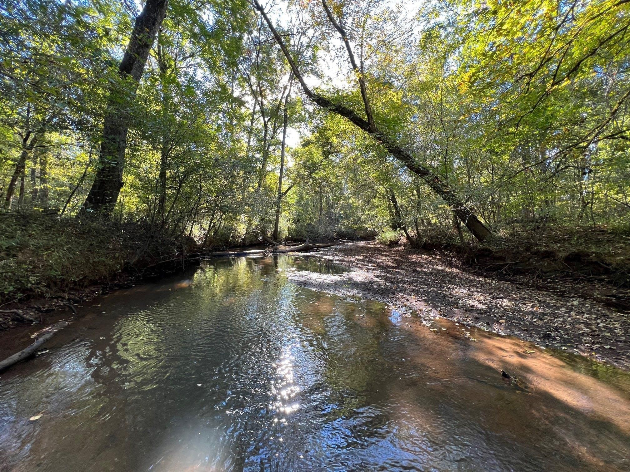 219 acres in Monticello, GA, LandWatch