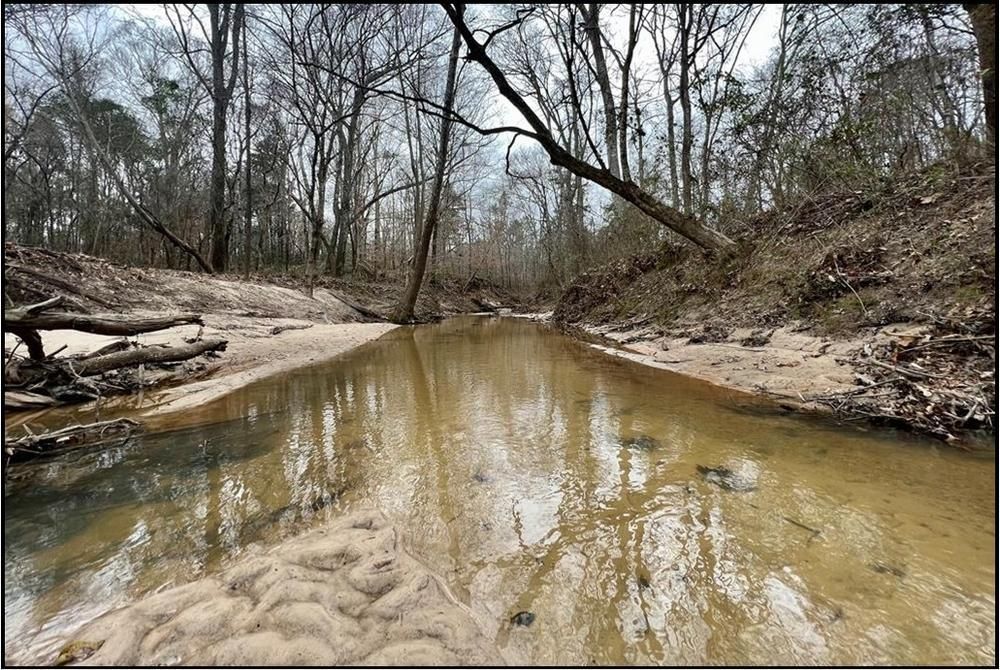 Harrisville, Simpson County, MS Recreational Property, Hunting Property