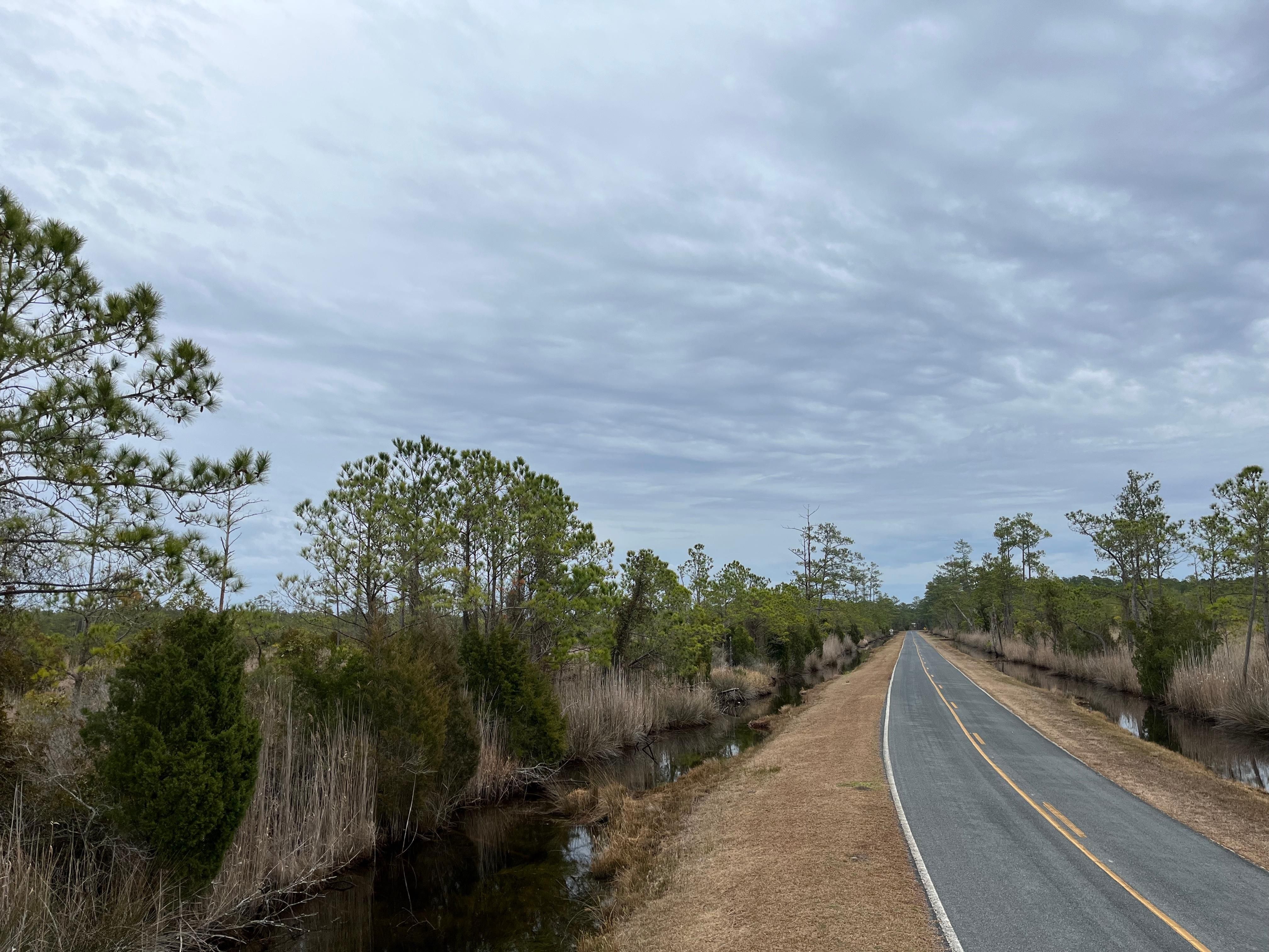 Lowland, Pamlico County, NC Recreational Property, Hunting Property for