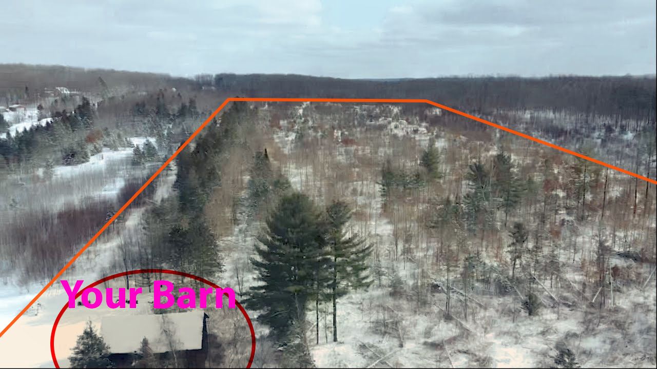 Fife Lake, Kalkaska County, MI Recreational Property, Undeveloped Land