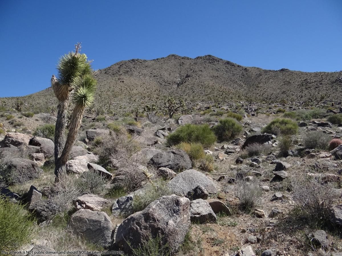 Dolan Springs, Mohave County, AZ Recreational Property, Undeveloped
