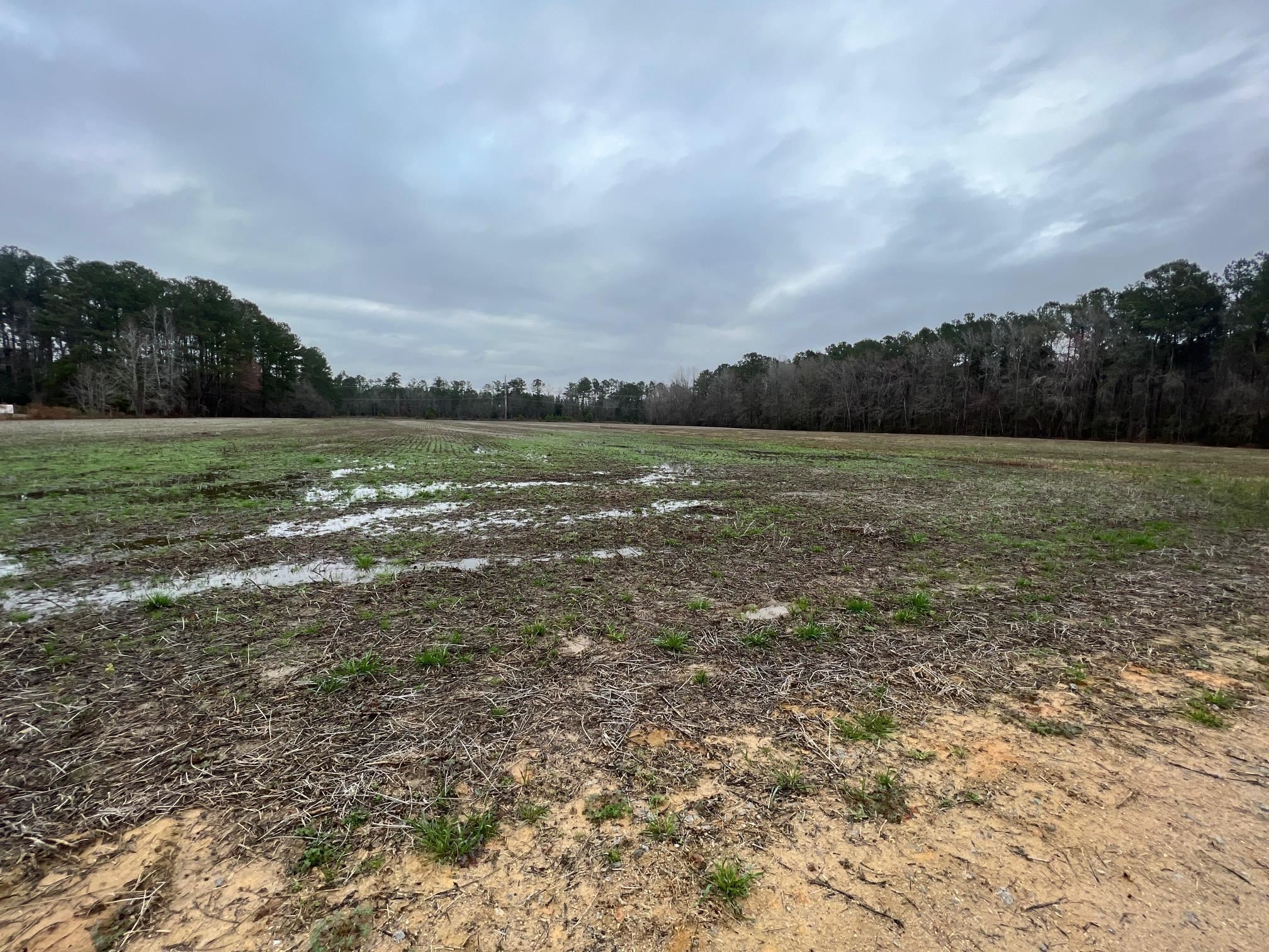 Conway, Horry County, SC Undeveloped Land, Homesites for sale Property ID 415726052 LandWatch
