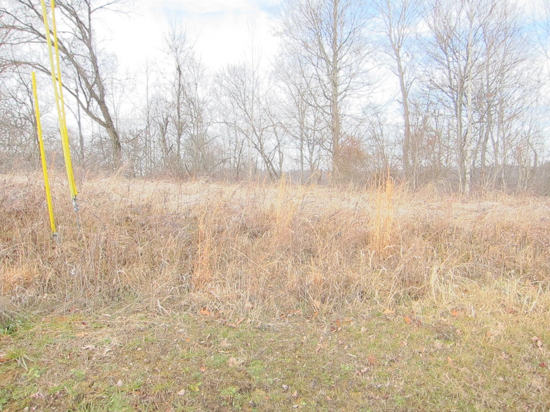 Proctorville, Lawrence County, OH Homesites for sale Property ID