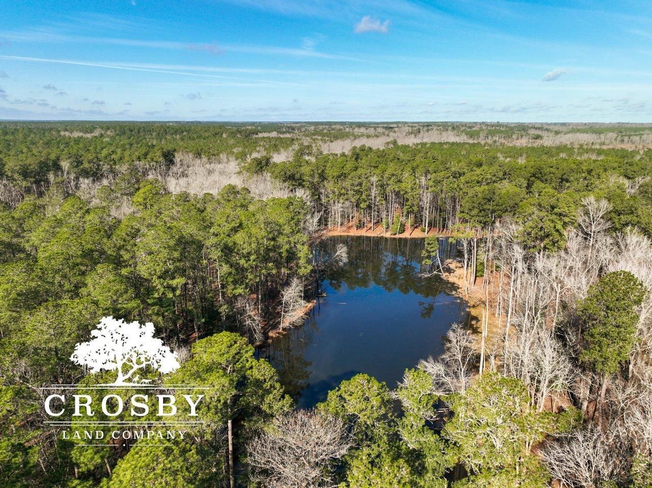 185.57 acres in Barnwell, SC, 29812 LandWatch