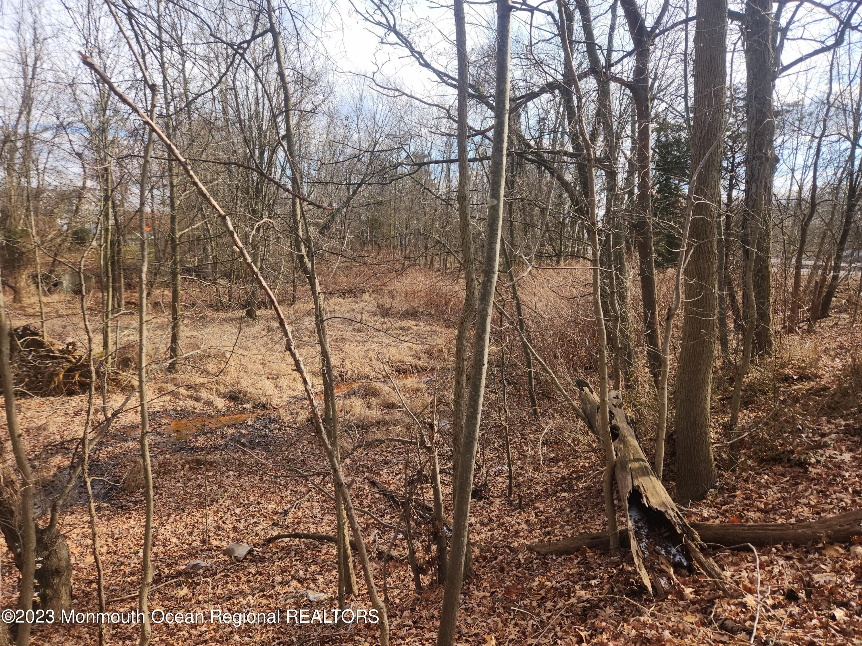 Freehold, Monmouth County, NJ Commercial Property, Homesites for sale