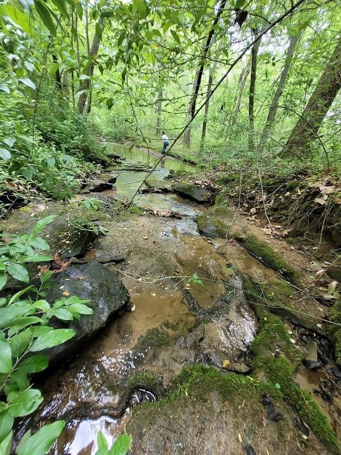 Leitchfield, Grayson County, KY Recreational Property, Undeveloped Land