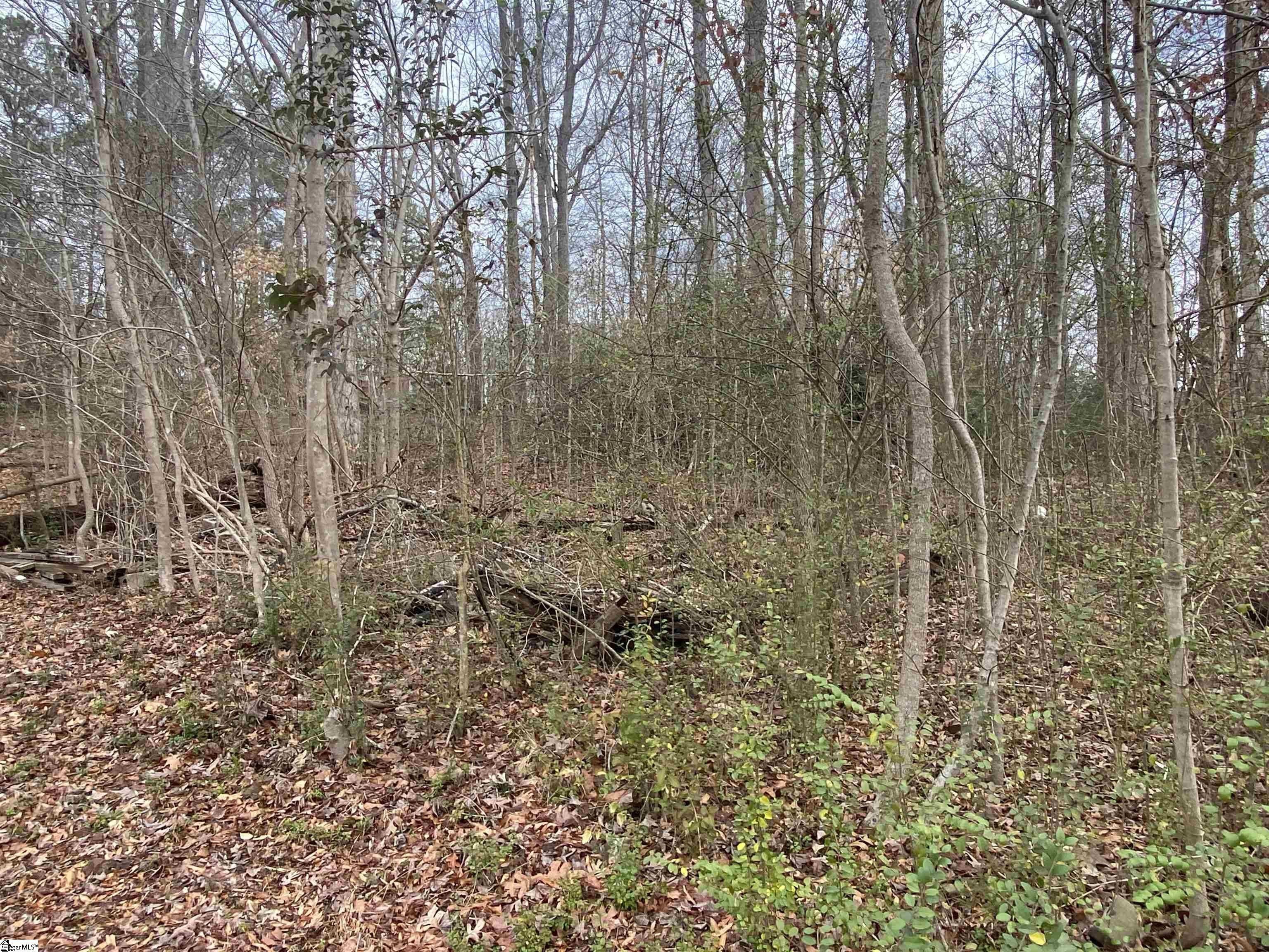 Clinton, Laurens County, SC Undeveloped Land, Homesites for sale