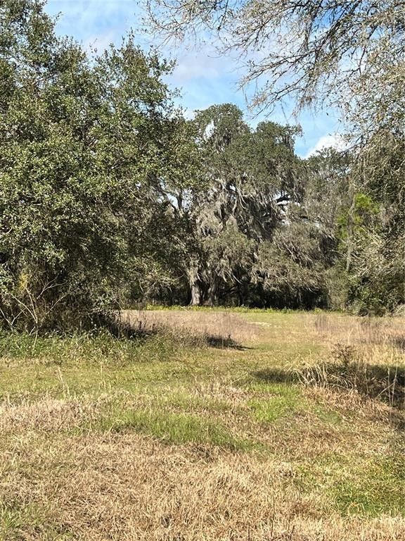 Bushnell, Sumter County, FL Undeveloped Land for sale Property ID 415730264 LandWatch