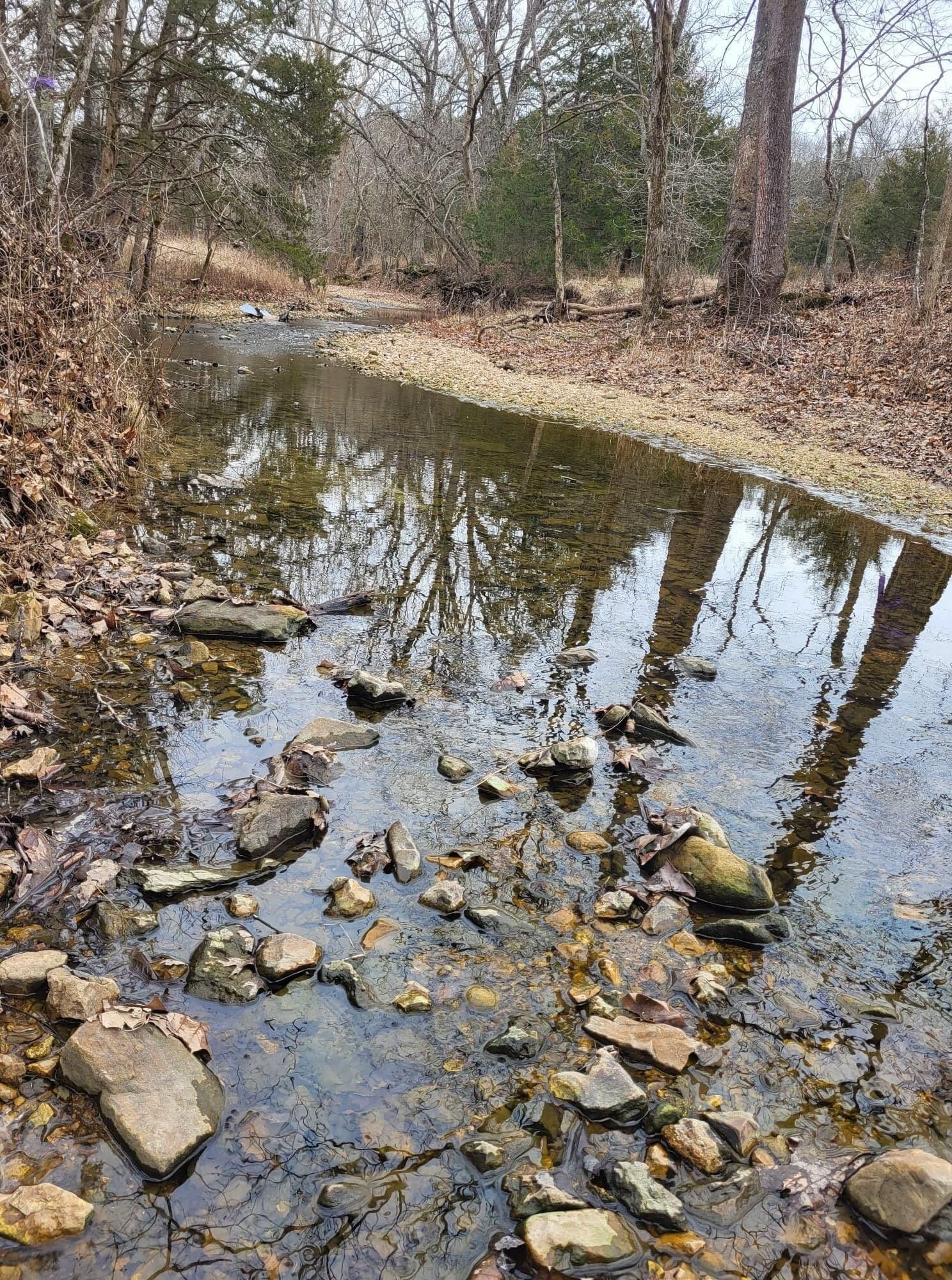 Bolivar, Polk County, MO Farms and Ranches for sale Property ID