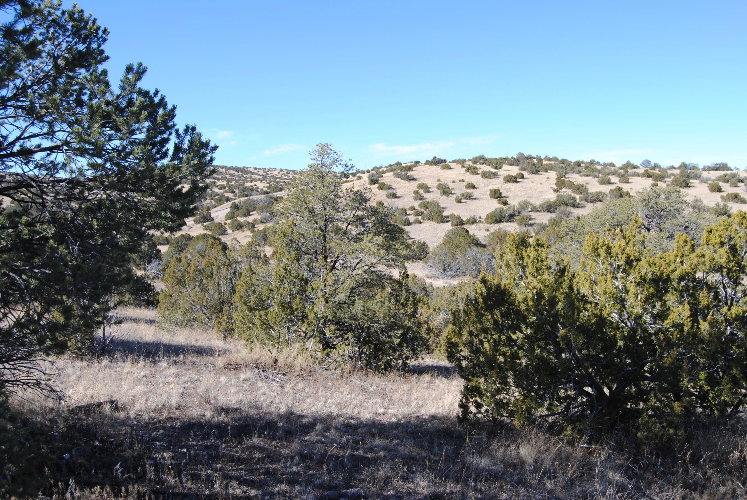 Magdalena, Socorro County, NM Undeveloped Land for sale Property ID