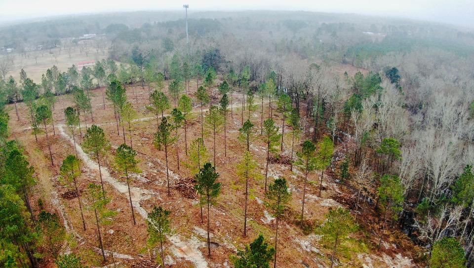 Dublin, Laurens County, GA Recreational Property, Undeveloped Land