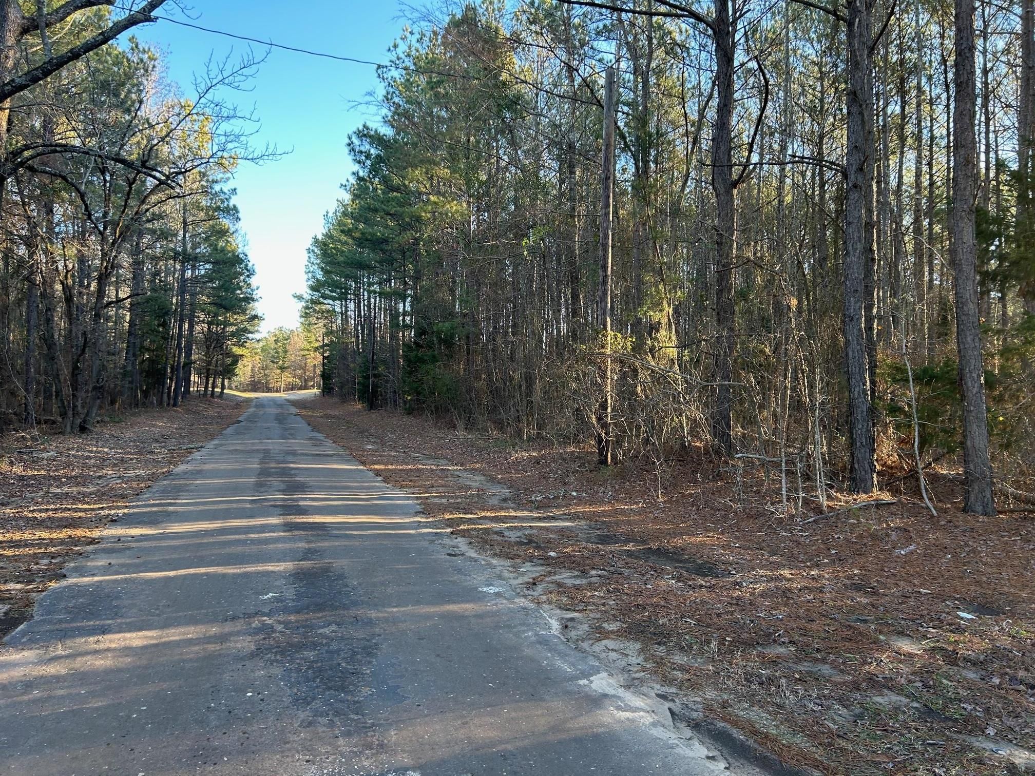 Bloomburg, Cass County, TX Recreational Property, Timberland Property