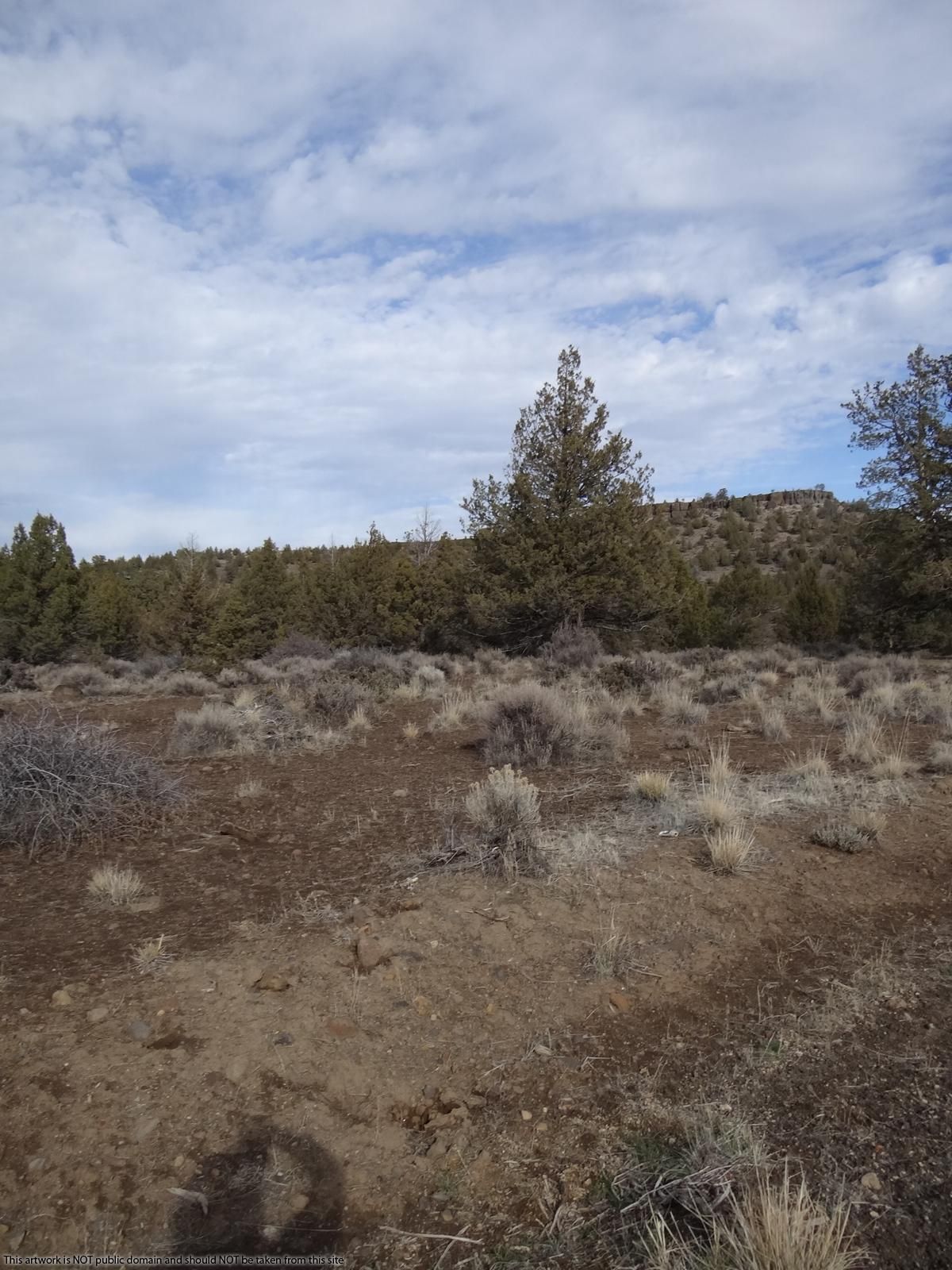 Alturas, Modoc County, CA Recreational Property, Undeveloped Land