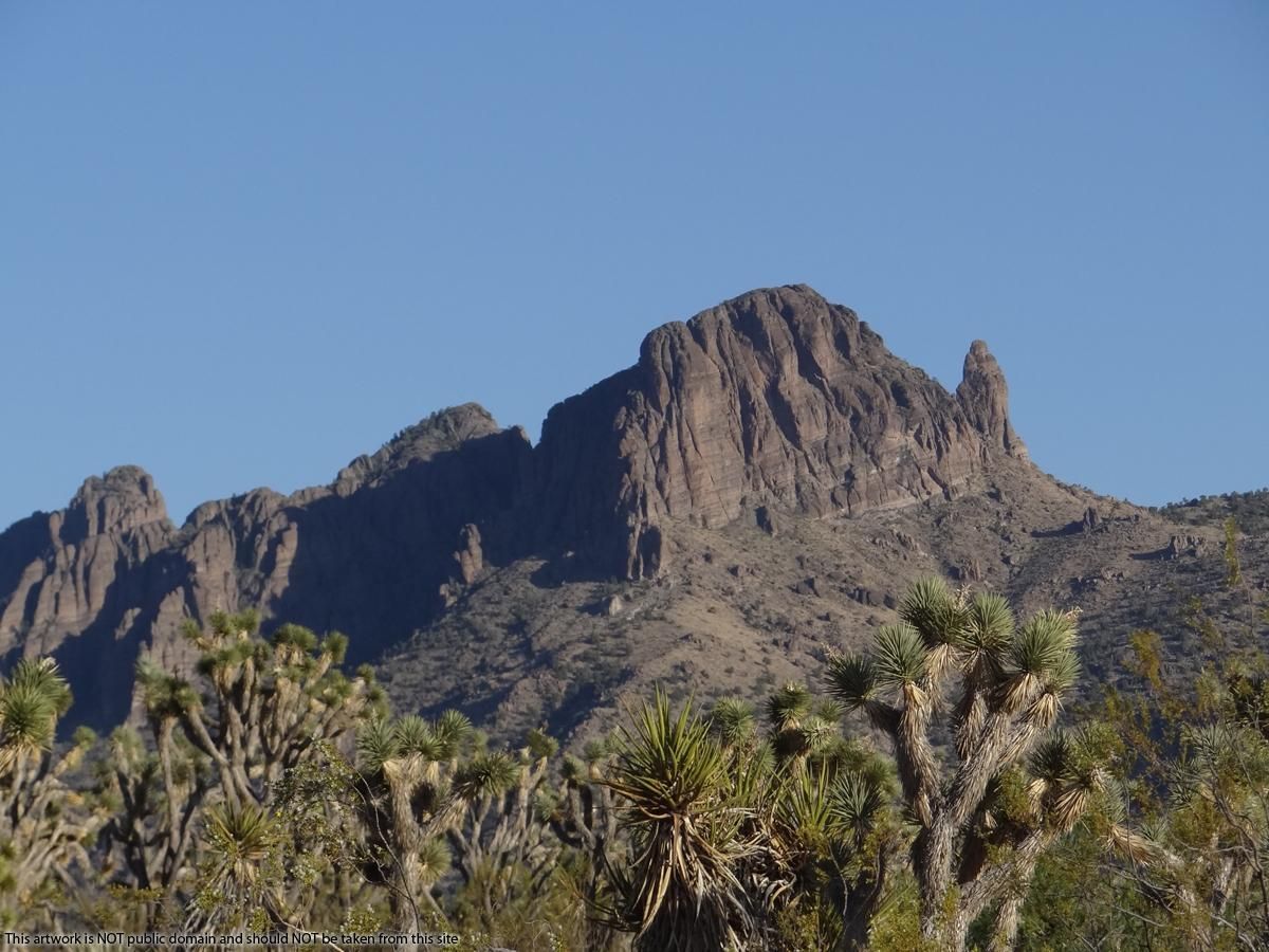 Dolan Springs, Mohave County, AZ Recreational Property, Undeveloped
