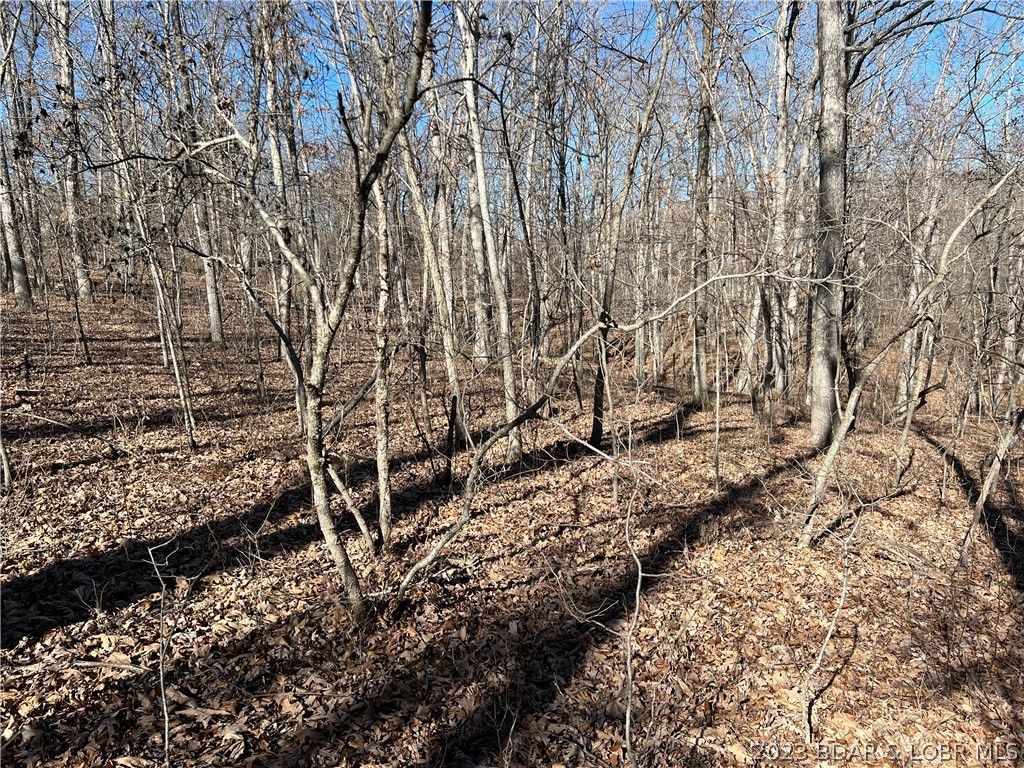 Versailles, County, MO Undeveloped Land for sale Property ID