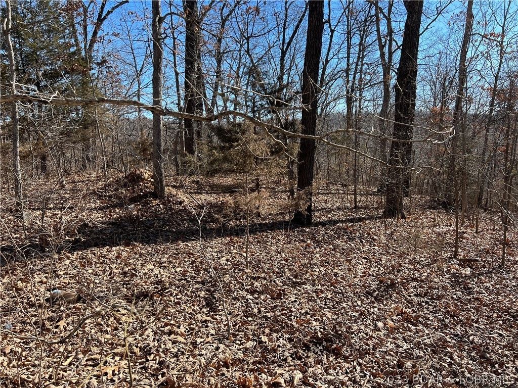 Versailles, County, MO Undeveloped Land, Homesites for sale