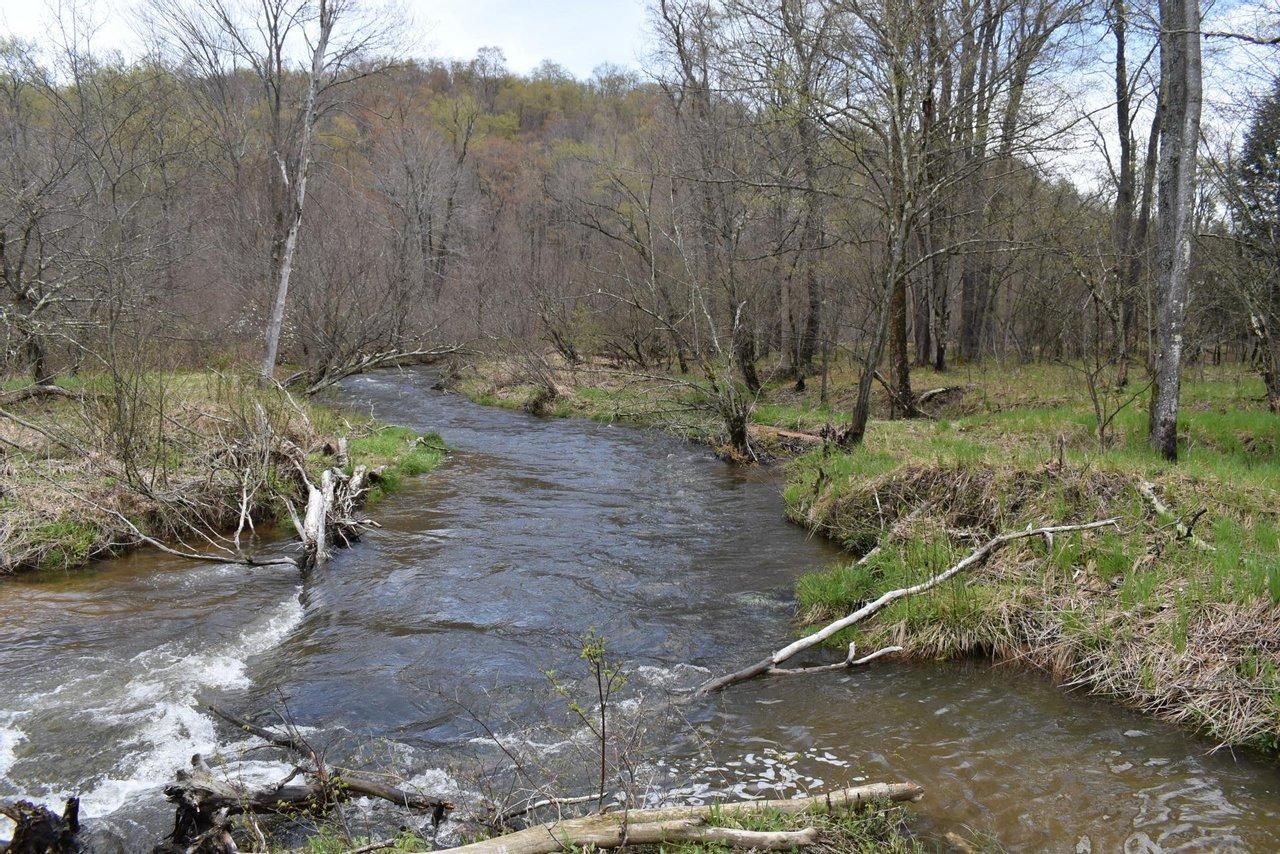 Marienville, Forest County, PA Recreational Property, Undeveloped Land